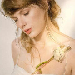 taylor taylor